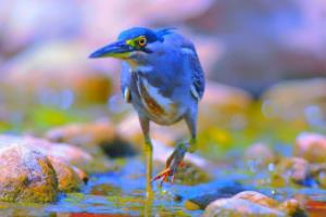 帅到掉渣的世界杯球员,外貌与实力的完美结合长得帅的世界杯球员