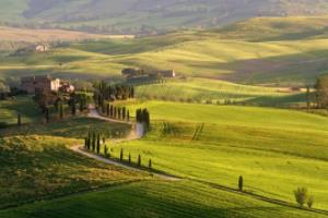 2022年世界杯球赛网上观看指南世界杯球赛网上在哪看